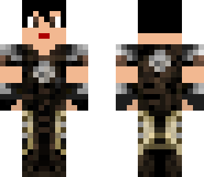 skyrim guy 2