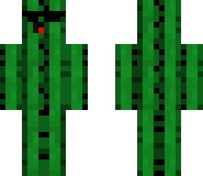 cool cactus