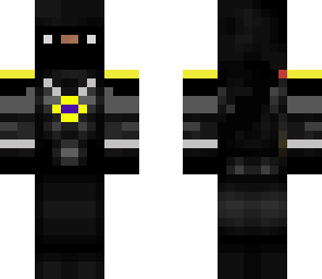 the ninja