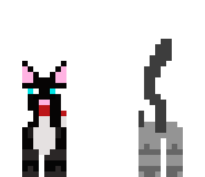 yesm's cat