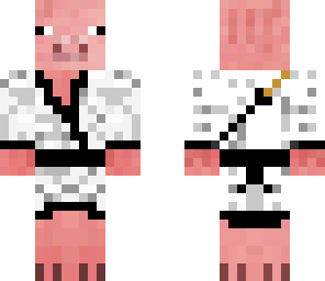 ninja pig