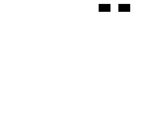 virus