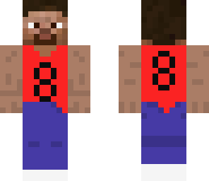 basketball steve
