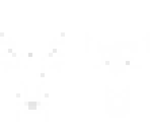 the blank ghost