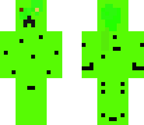spotted creeper