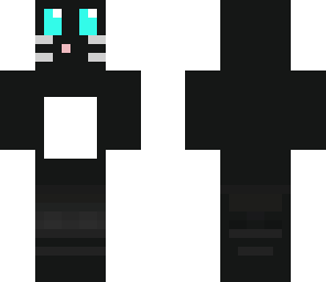 black cat