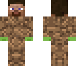 dirt steve