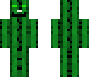 my awesome skin cactus