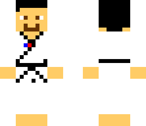 taekwondo sensei