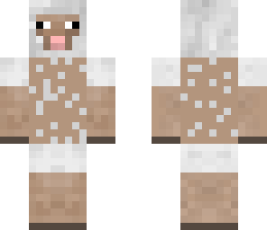 sheep