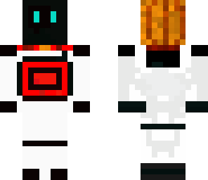 cyber ninja