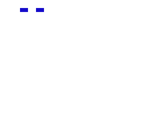 the observer