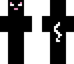 herobrine cat person