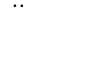 the observer