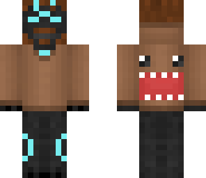 domo pheasty