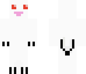 albino ferret
