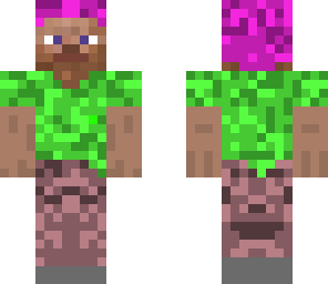 punk steve