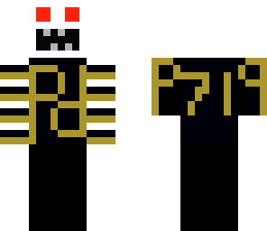 penguins fan
