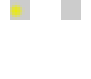 the head
