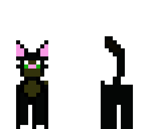 black cat