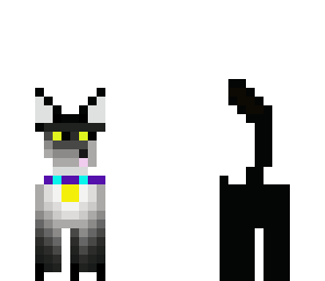 ooo look cat