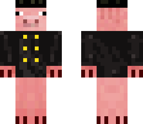 classy pig