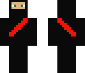 the ninja1