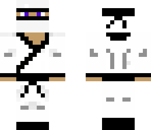 ninja s