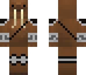 walrus tuskin chief
