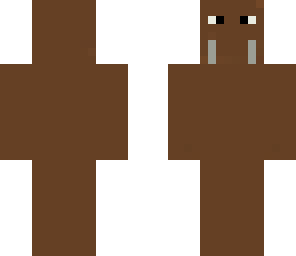 walrus
