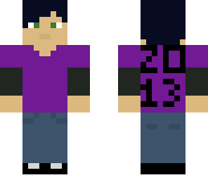 2013 skin