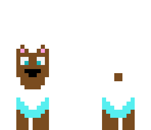 poncho wearing bear