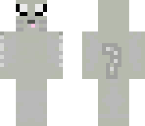 cat grey