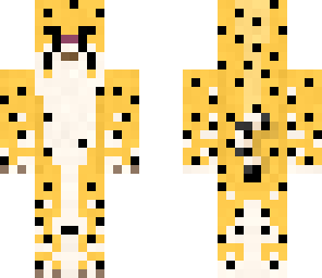 cheetah