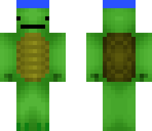 turtle with a hat on