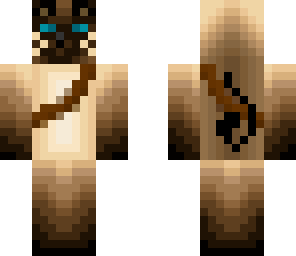 siamese cat