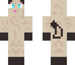 siamese