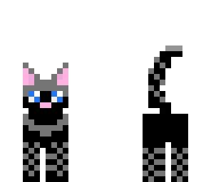 black and gray kitty