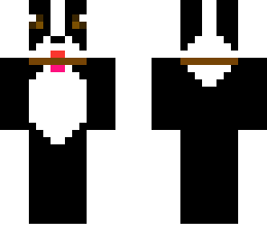 sookie the boston terrier