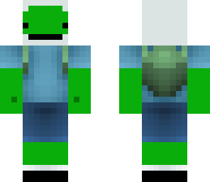 finn the turtle