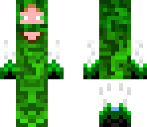 partially completed scout