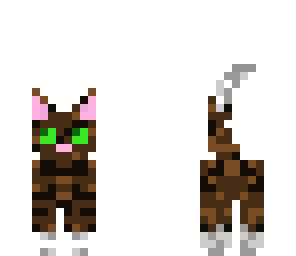 mottled brown cat