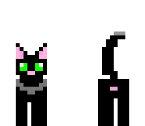 black cat