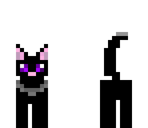 black cat