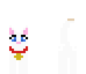 changed kitty