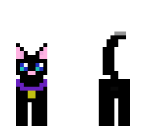 black cat