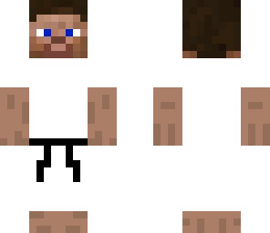 kung fu steve