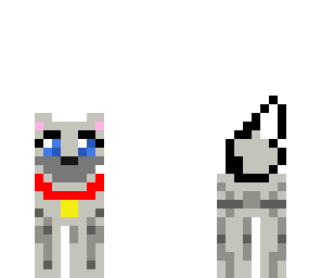 dog