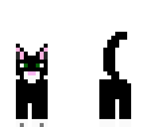 black cat