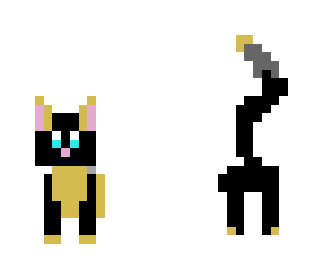 really cute cat